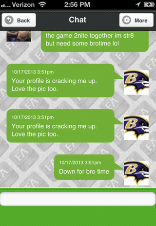 Illustration for article titled One Man's Epic Review of a "Match.com for NFL Fans"